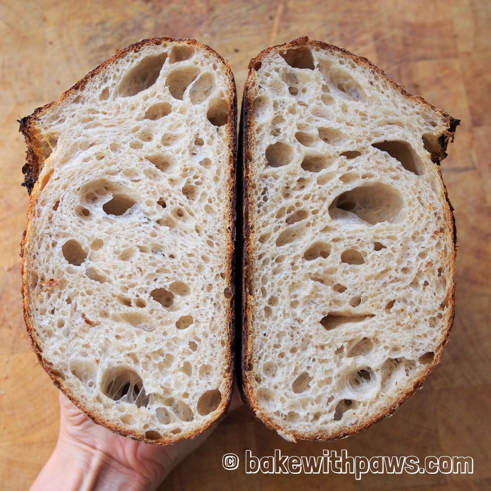 Basic Open Crumb Sourdough Bread BAKE WITH PAWS