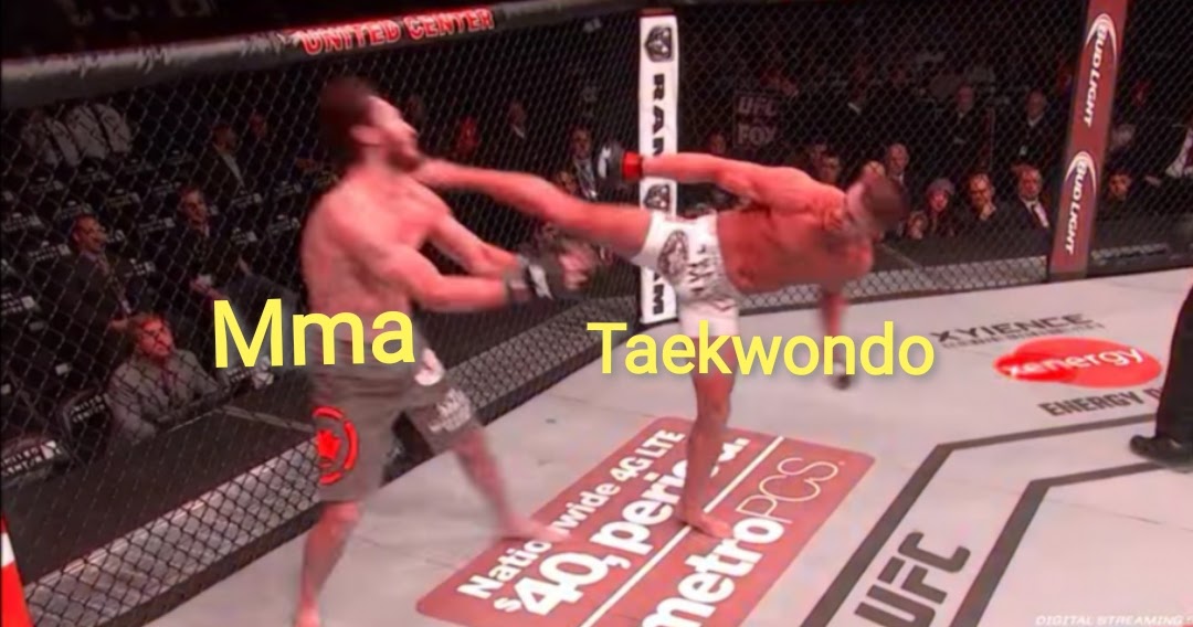 Taekwondo vs MMA 세계 태권도 가족