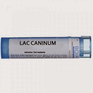 Homeopatie lac caninum