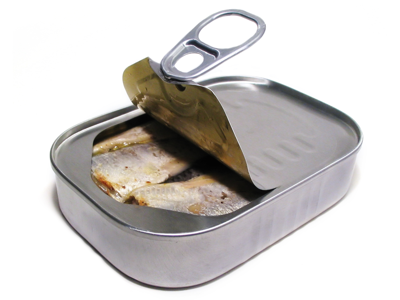 How to Buy the Best Sardines Canned Fish Product? Frozen Sardine Fish