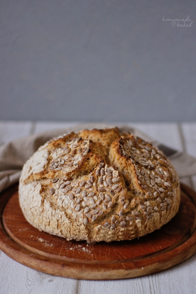 Ab Auf S Brot Veganer Karotten Quinoa Aufstrich Alles Und Anderes
