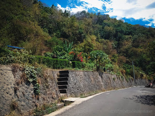 Natural View Side Of The Countryside Road With Hilly Plants And Trees At Ularan Village North Bali Indonesia