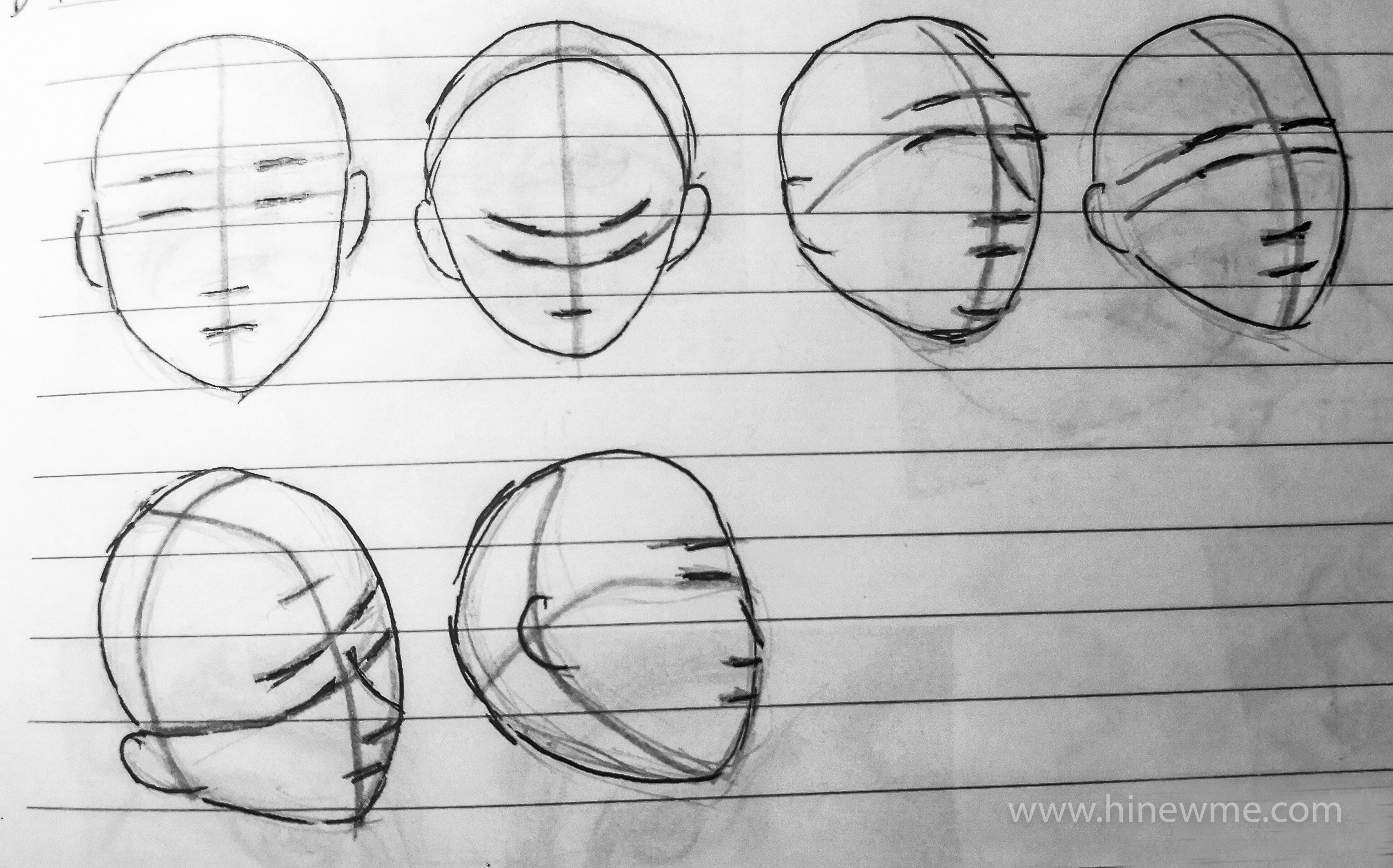 How to draw the human head and face sketch facial lines