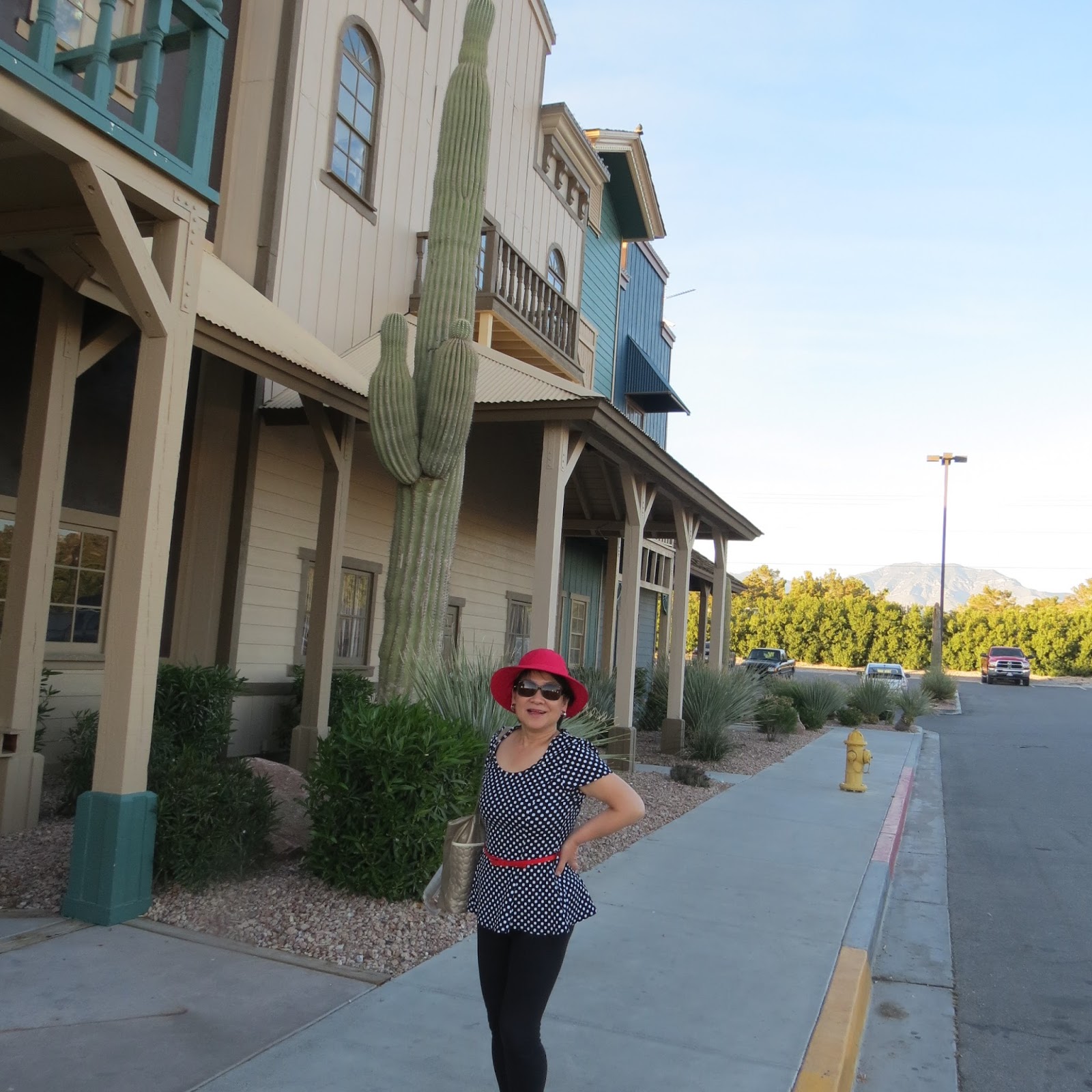 Adventures in PEI and Beyond! Renting a Vehicle and Driving from Las