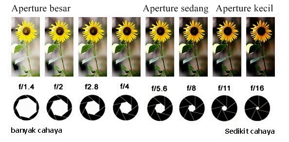 Penjelasan Sederhana mengenai Ruang Tajam / Depth of Field ~ FUN photoshoot