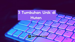 3 Tumbuhan Unik di Hutan 3 Tumbuhan Unik di Hutan