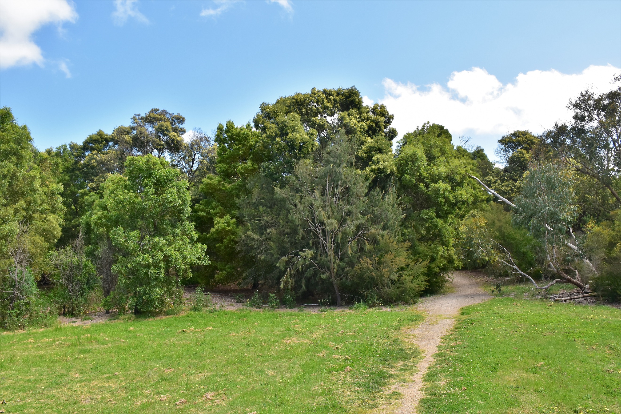 Goin' Feral One Day At A Time Moorooduc Quarry Walk, Moorooduc Quarry