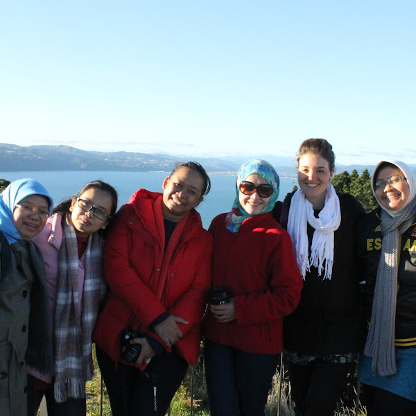 Mount Victoria, New Zealand