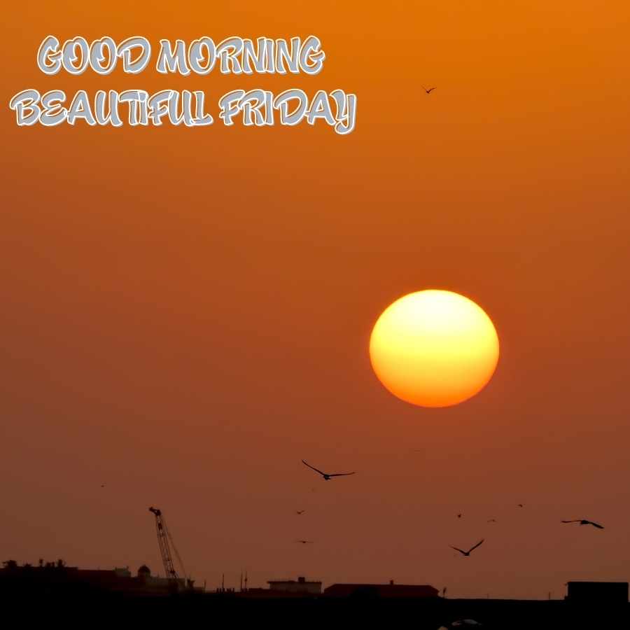 good morning happy friday images