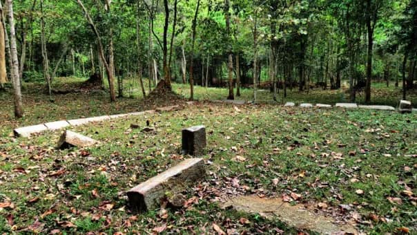 තුරුලතා වලින් වටවූ - කඳාල රජමහා විහාරය 🌿☸️🙏🌳 (Kandala Rajamaha Viharaya) - Your Choice Way