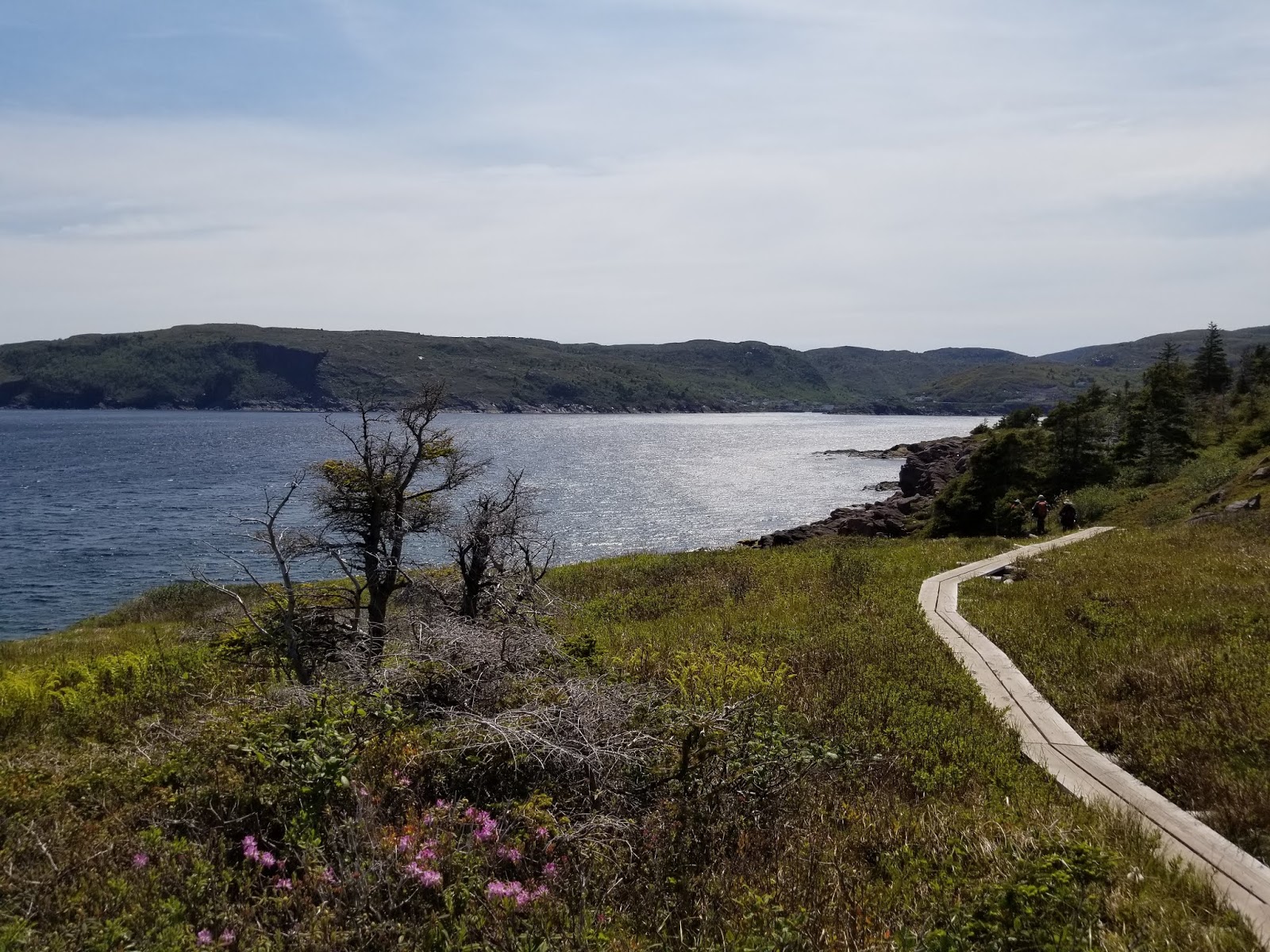 Hiking Cape Spear Blackhead to Maddox Cove Petty Harbour