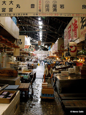 MERCADO DE TSUKIJI. TOKIO, JAPÓN