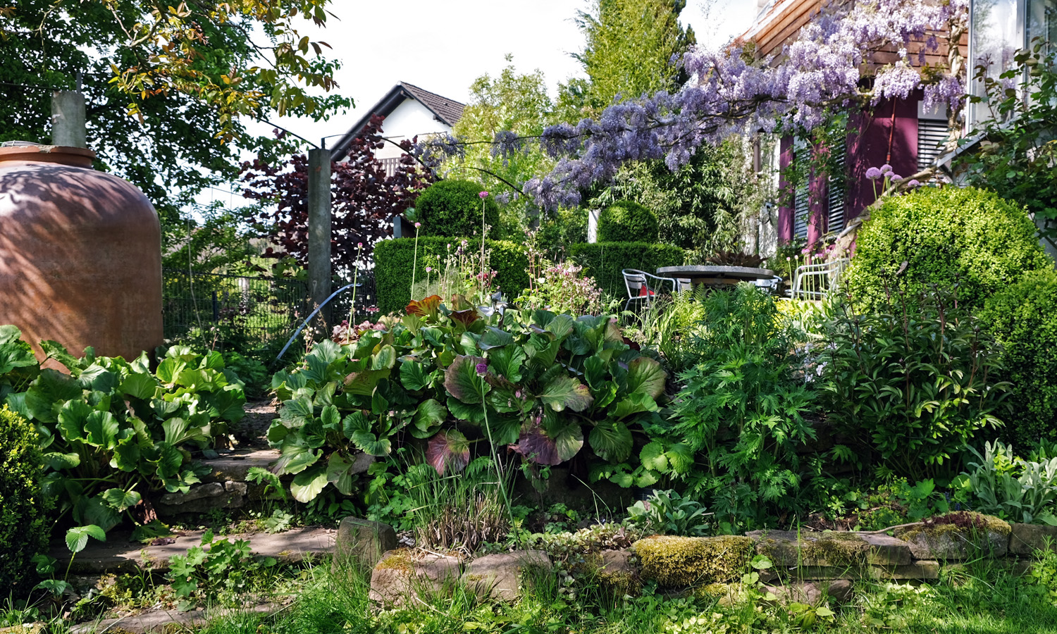 mein garten im mai purpurgarden