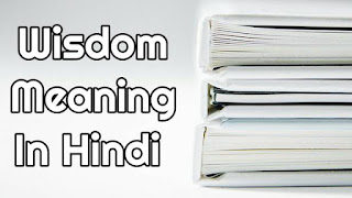 Wisdom Meaning In Hindi