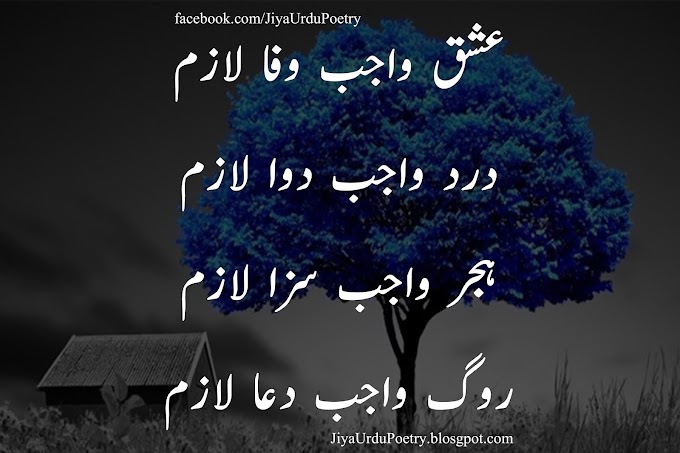 Ishq Wajib , Wafa Laazim