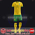 Áo Đội Tuyển Đặt May Theo Yêu Cầu - Mã BRAZIL-03