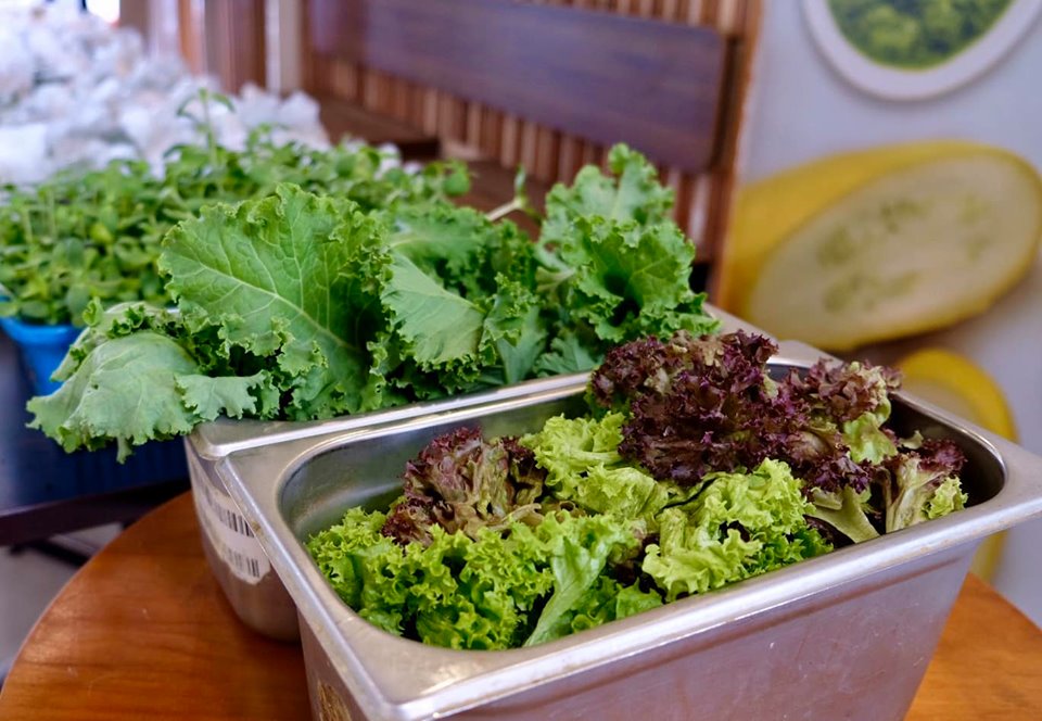 Malaysian Lifestyle Blog Kubis & Kale Poke Bowl Bandar Sunway