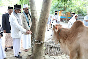 Pemkab Aceh Utara Bantu Hewan Qurban untuk Dayah, Masjid dan Gampong