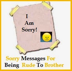 Sorry Messages : Being Rude