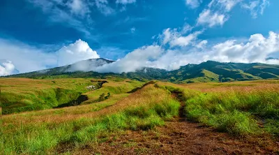 Savana Sembalun Lawang