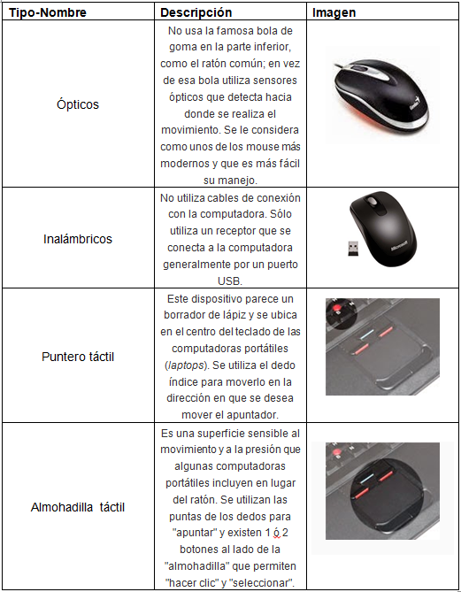 Mouse ~ Hardware, Software, Bases de Datos y Redes.