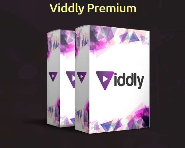 viddly setup viddly setup