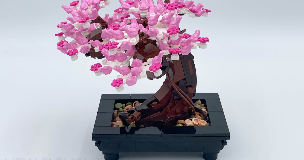 First look at the 2021 LEGO Bonsai Tree & Flower Bouquet! - Jay's Brick Blog