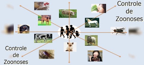 Centro de Controle de Zoonoses é caso de saúde pública