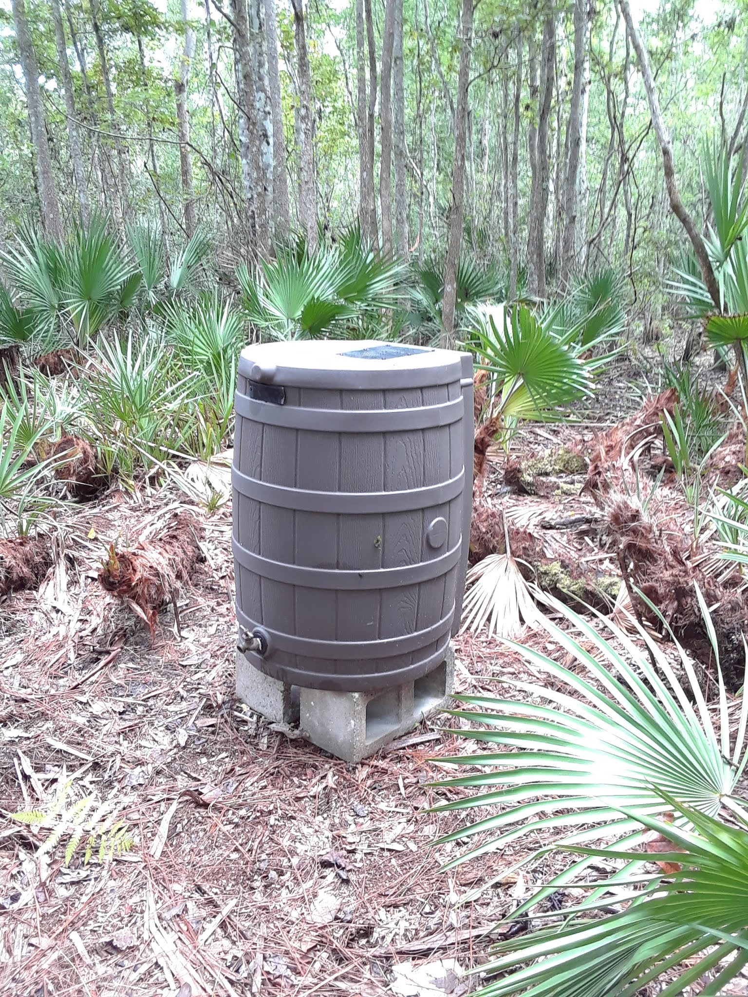 Buying Used Rain Barrels 20 A Piece Where To Find A Rain Barrel & More