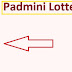 Maharashtra Padmini Lottery Results 29.4.2024 Live Draw Winning Numbers