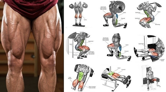 Gain Leg Mass With This 4 Week And Daily Multiple Exercise Plan