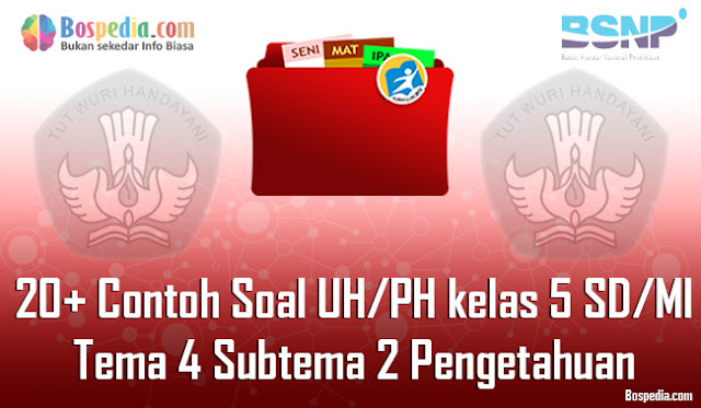 20+ Contoh Soal UH / PH untuk kelas 5 SD/MI Tema 4 Subtema 2 Pengetahuan