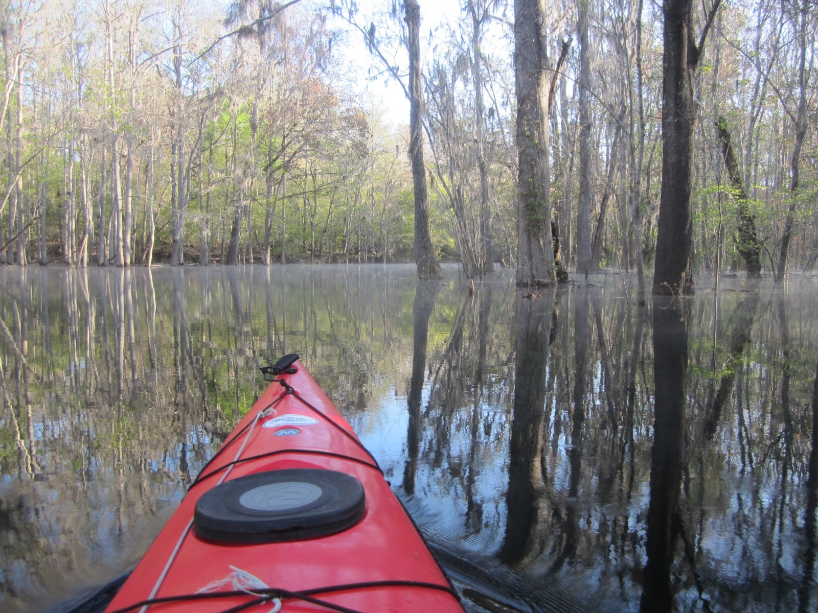 Dave's Yak Tales Ichetucknee River