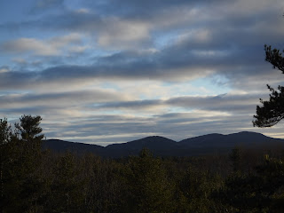Kittredge Brook Forest Scenic Overlook view