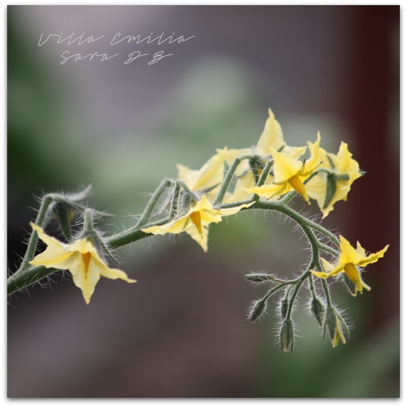 Un Coin De Verdure Travaux De Pluie