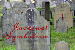 bird flying into house omen 5