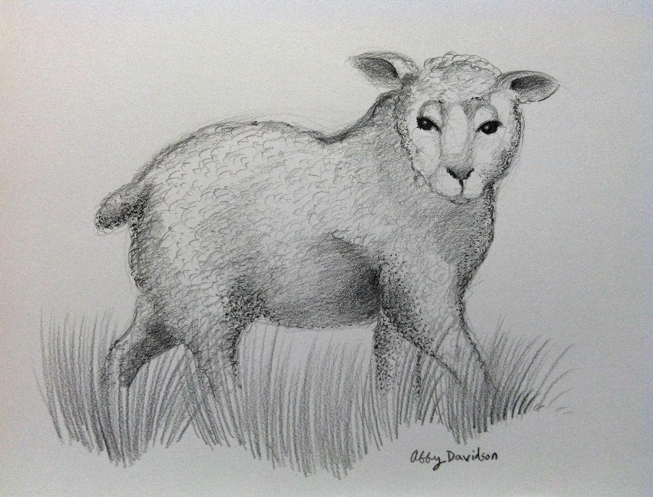 Abigail Davidson Art: Illustration Friday: Wool