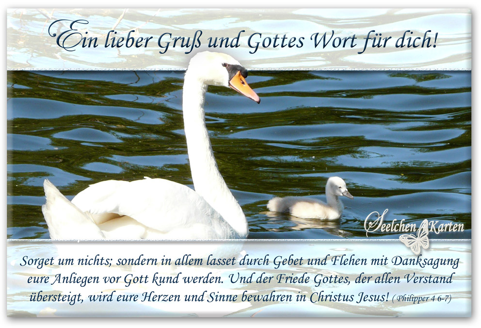 Seelchen Karten und Collagen Spruchkarten Ein lieber Gruß und Gottes