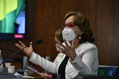 ZENAIDE COMEMORA INCLUSÃO DE REPRESENTANTE DA BANCADA FEMININA NO COLÉGIO DE LÍDERES DO SENADO