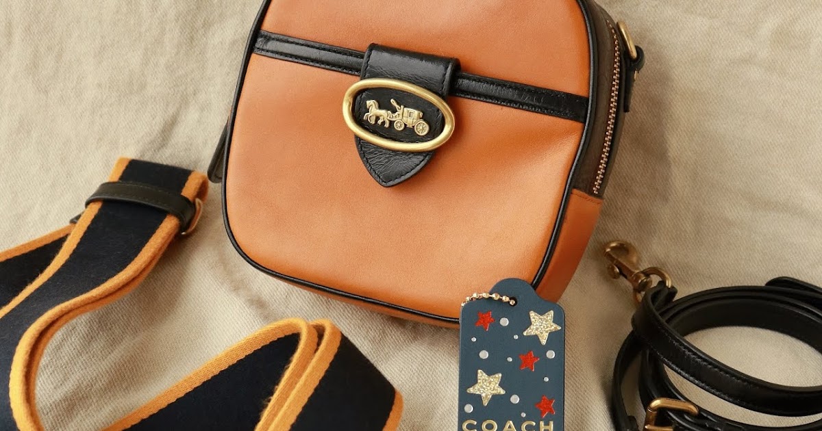Coach Kat Camera Bag in Colorblock Unboxing FISHMEATDIE