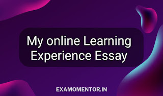 my experience with online school essay