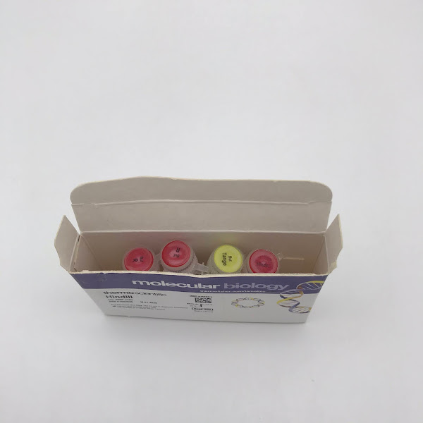 Enzyme HindIII ( ER0501, Thermo Scientific)