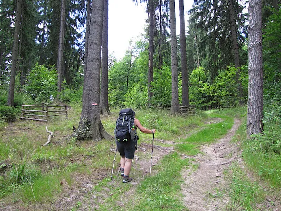 Wzgórze Mrowiec