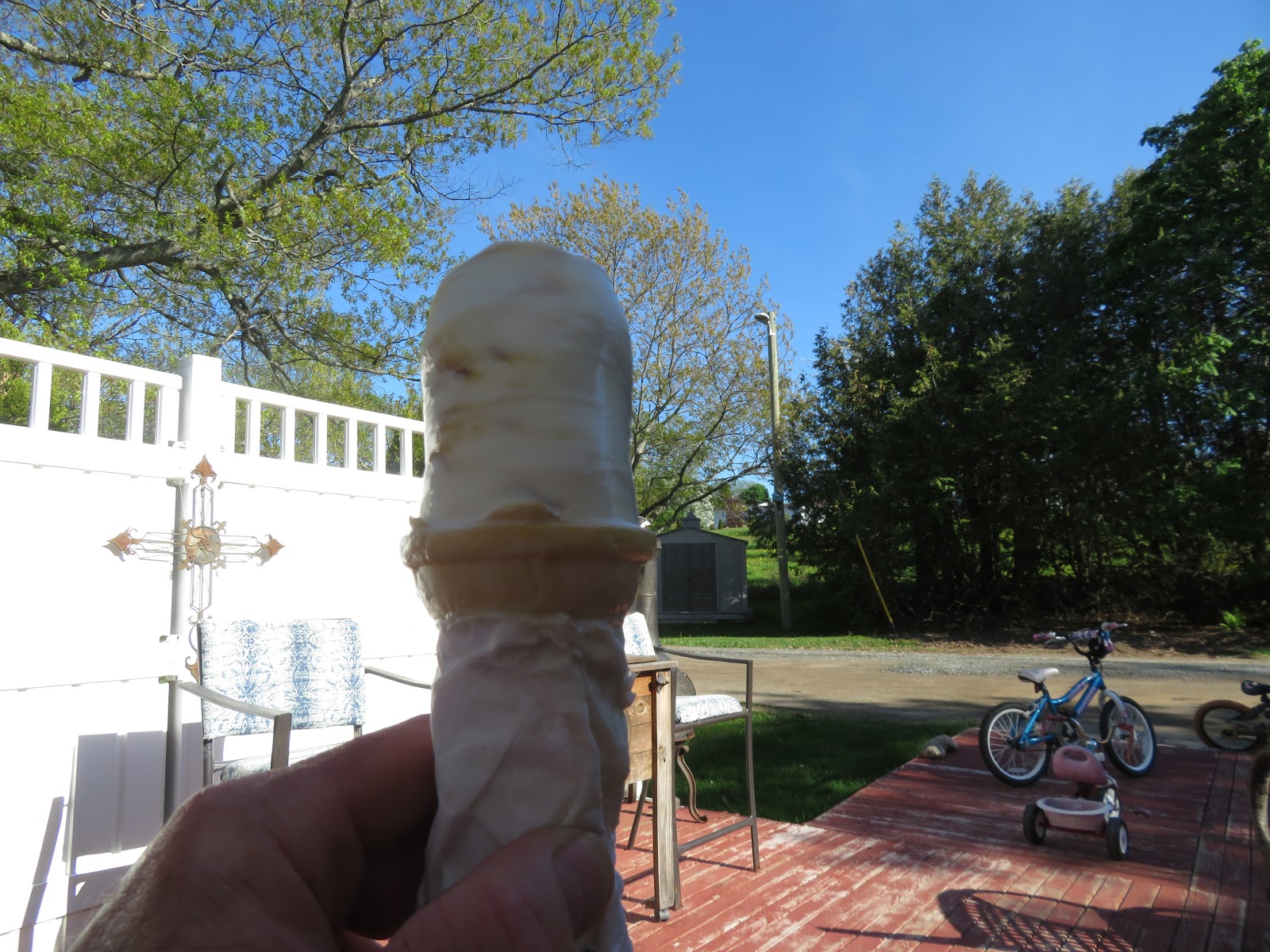 Charles Leblanc's Other Blog Deogy loves Chapman's Ice Cream in