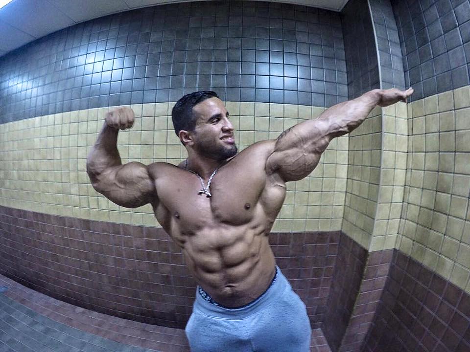 Стефан Хавлик bodybuilder