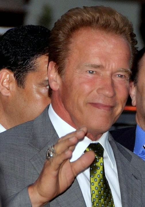 Arnold Schwarzenegger Biography