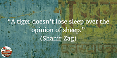  38 Powerful Short Quotes And Positive Words About Life: “A tiger doesn’t lose sleep over the opinion of sheep.” – Shahir Zag