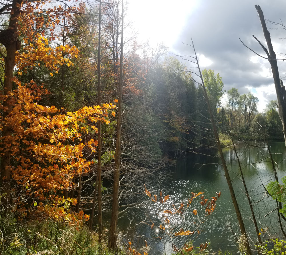 Toronto Grand Prix Tourist A Toronto Blog Fall Colours on the