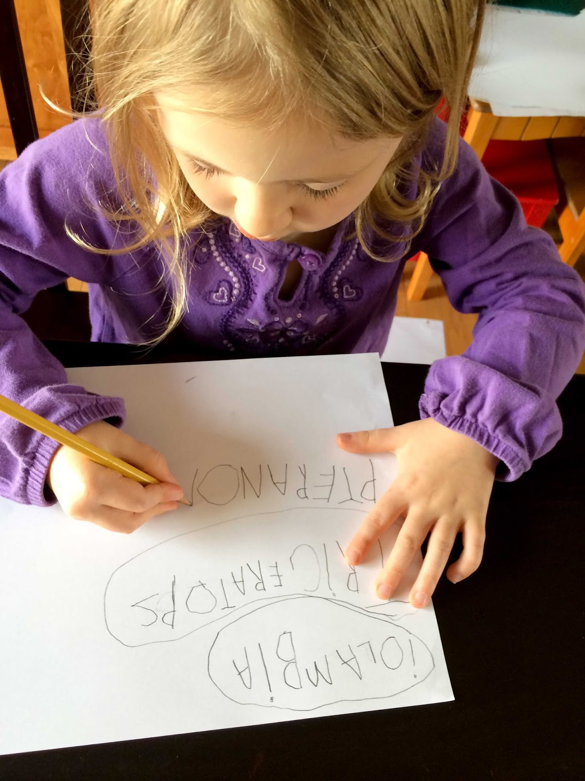 Blueberries And Pickles 4 And 6 Year Old Writing blueberries-and-pickles-4-and-6-year-old-writing
