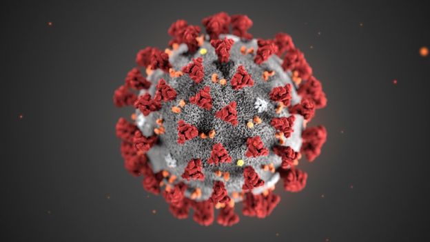 corona virus, virus corona, gambar virus corona, penularan virus corona, penyebaran virus corona, covid-19, asal virus corona, cara mencegah virus corona